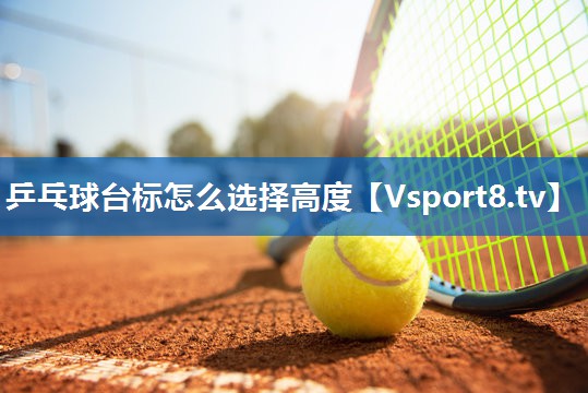 乒乓球台标怎么选择高度 乒乓球台标怎么选择高度
