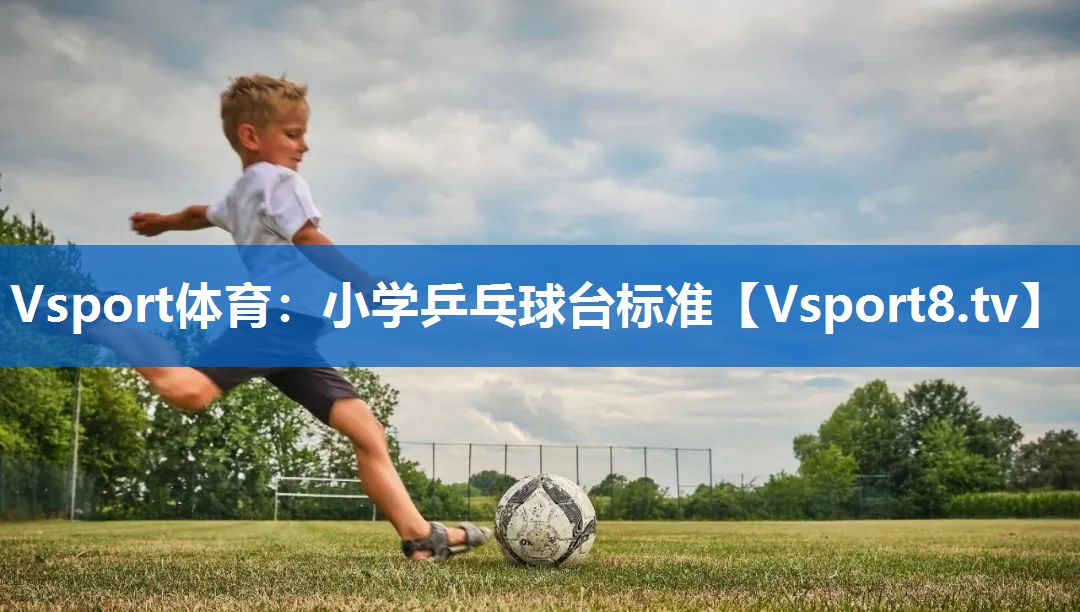 小学乒乓球台标准 小学乒乓球台标准