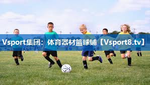 Vsport集团：体育器材篮球铺