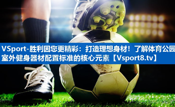 打造理想身材!了解体育公园室外健身器材配置标准的核心元素 打造理想身材!了解体育公园室外健身器材配置标准的核心元素